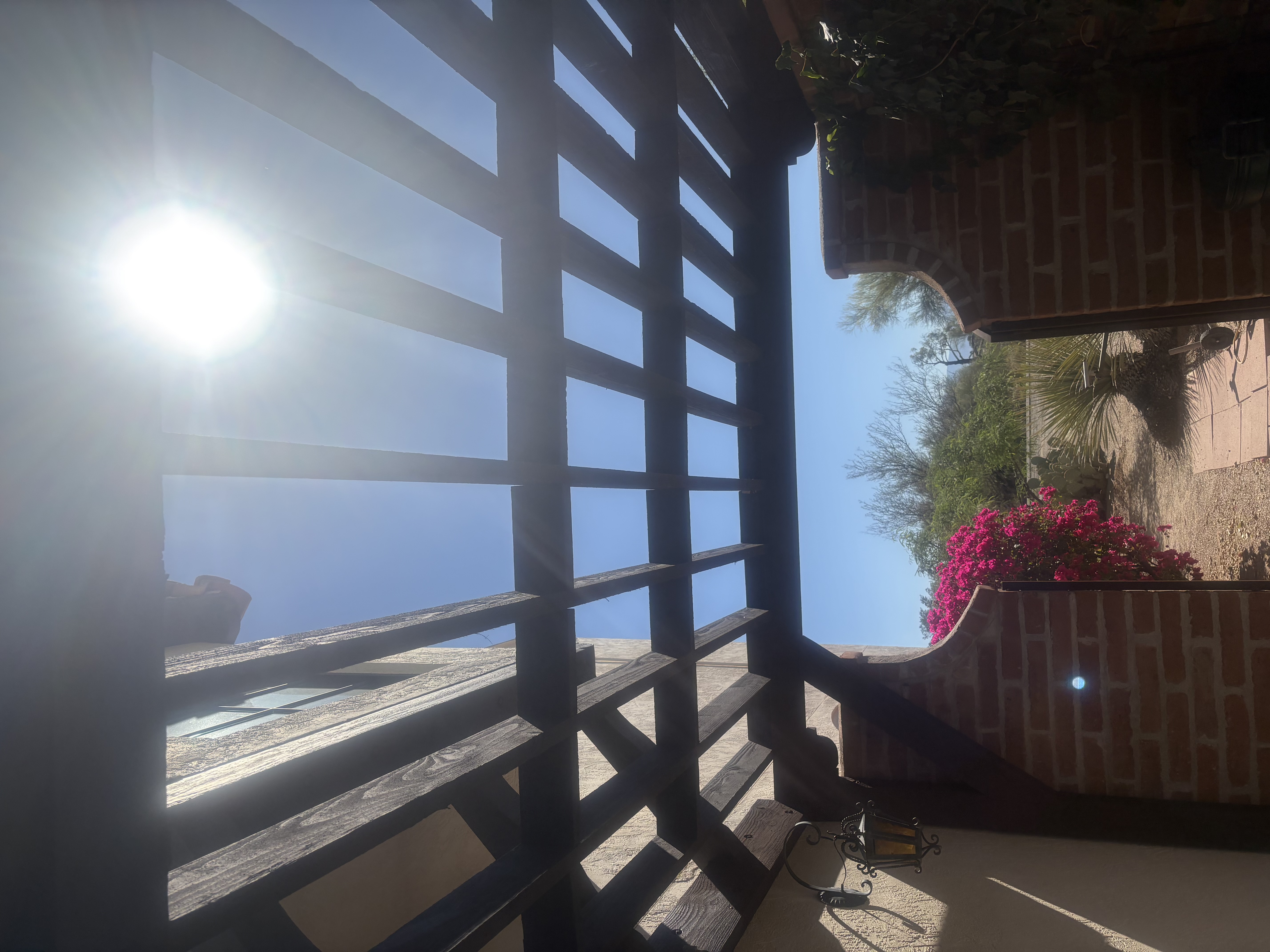 Pergola with polycarbonate panels and bougainvillea